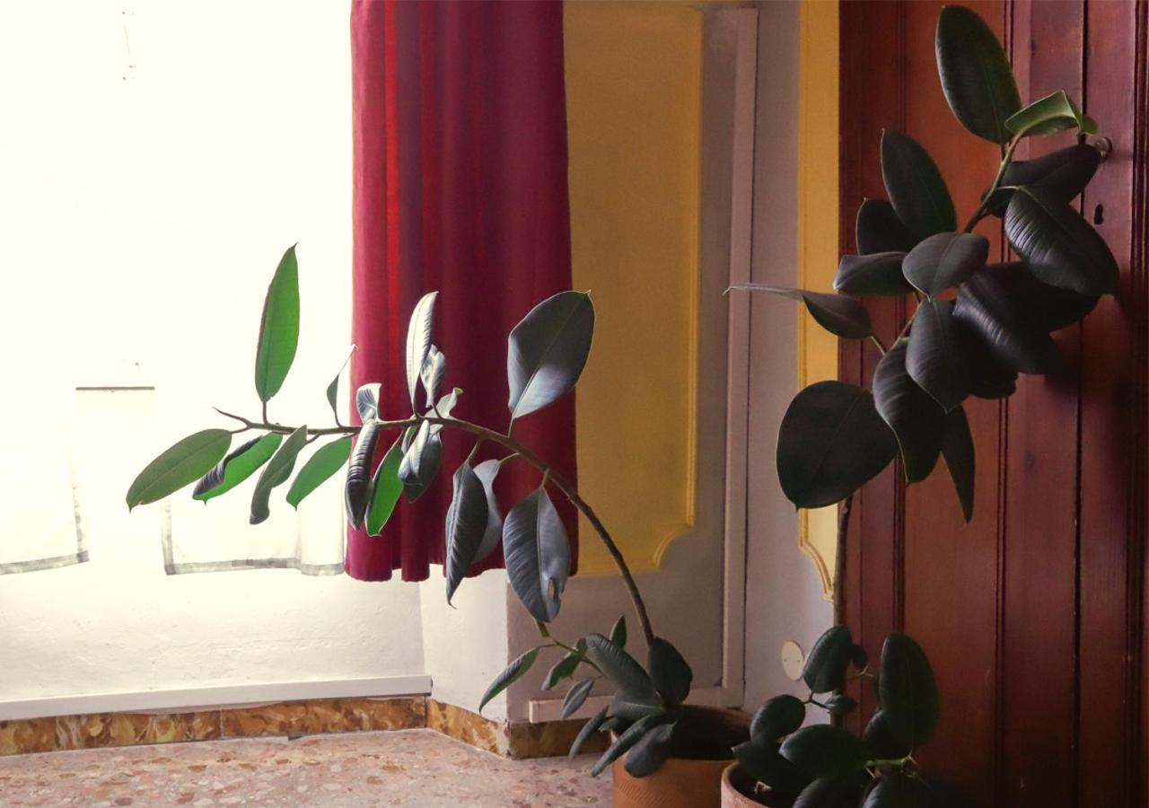 Retro B&B Pisa Eksteriør bilde
